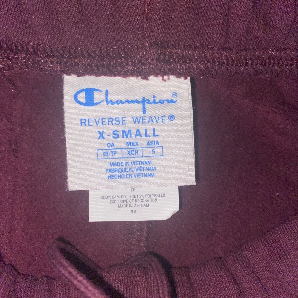 Champion Hoodie and Sweatpants nwot - Picture 5 of 5